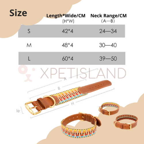 Luxury Genuie Leather Dog Collar Leash Gift Set