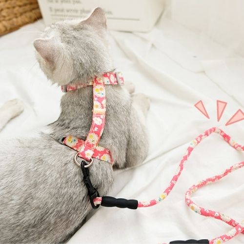 Japanese Inspired Cat Dog Walking Leash