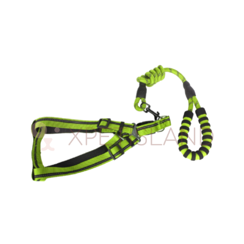 Reflective Night Safe Walking Vest Lead - Large