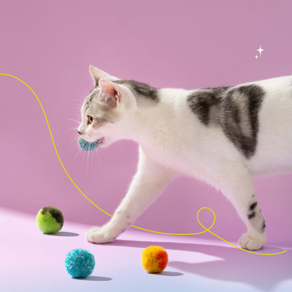 Mewoofun Catapult Teaser Wand Stick for Cat