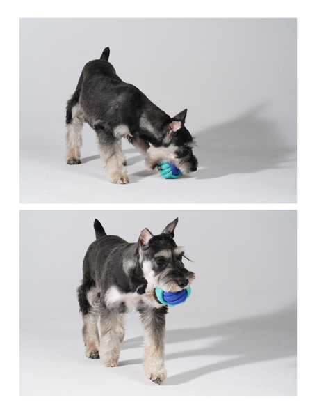 PAWZCITY Interactive Rope Ball