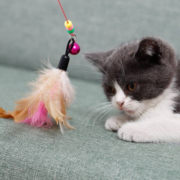 Cat Wired Feather Teaser Wand