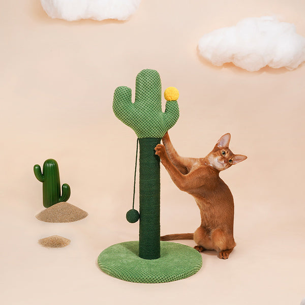 ZEZE Cactus Scratching Post