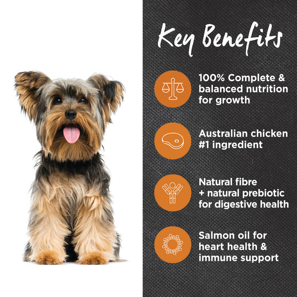 IVORY COAT DOG CHICKEN BROWN RICE 2.5KG