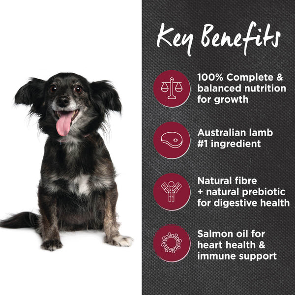 IVORY COAT DOG LAMB BROWN RICE 2.5KG