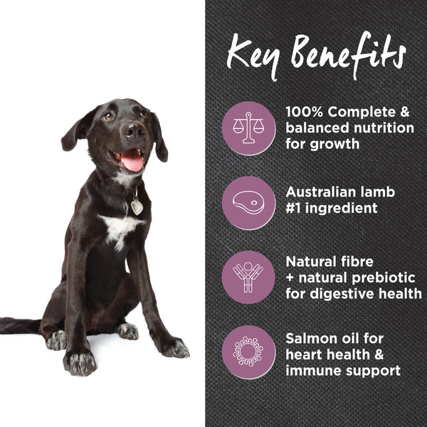 IVORY COAT PUPPY LAMB BROWN RICE 2.5KG