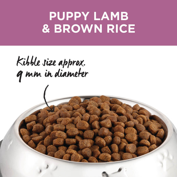 IVORY COAT PUPPY LAMB BROWN RICE 2.5KG