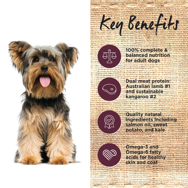 IVORY COAT DOG LAMB & KANGAROO 2KG