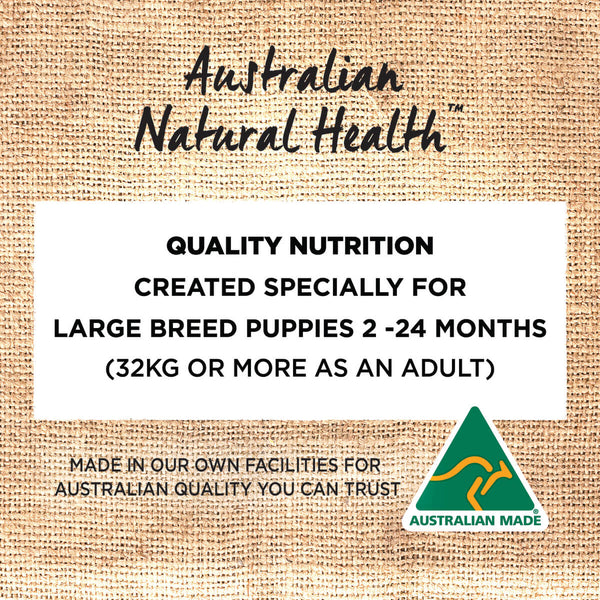 IVORY COAT PUPPY LARGE BREED LAMB 2KG