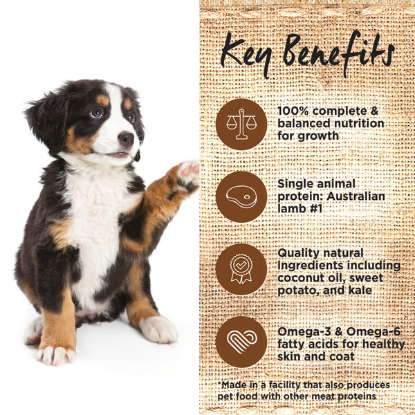 IVORY COAT PUPPY LARGE BREED LAMB 2KG