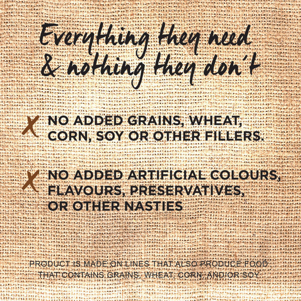 IVORY COAT PUPPY LARGE BREED LAMB 2KG