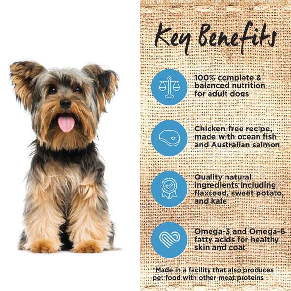 IVORY COAT DOG OCEAN FISH SALMON 2KG