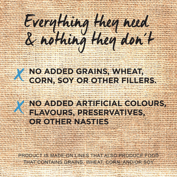 IVORY COAT DOG OCEAN FISH SALMON 2KG