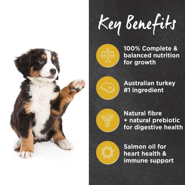 IVORY COAT PUPPY LARGE TURKEY BROWN RICE 2.5KG