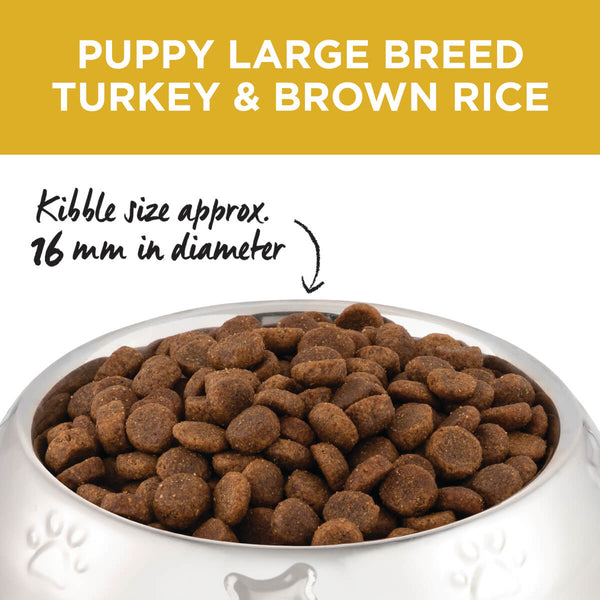 IVORY COAT PUPPY LARGE TURKEY BROWN RICE 2.5KG