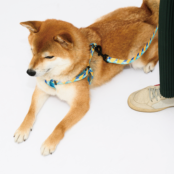 PAWZCITY Harness & Leash Set For Dog M