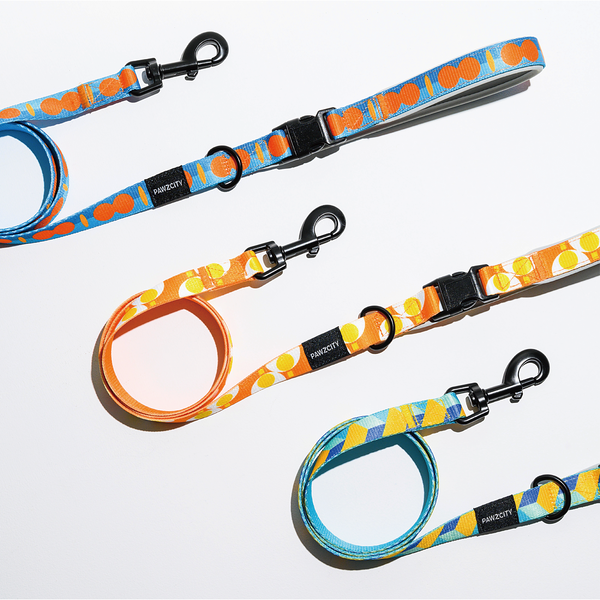 PAWZCITY Harness & Leash Set For Dog M