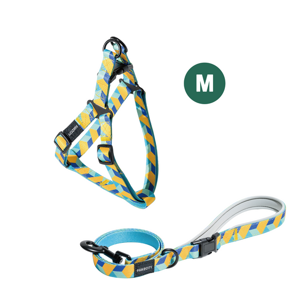 PAWZCITY Harness & Leash Set For Dog M