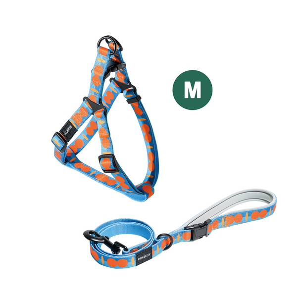 PAWZCITY Harness & Leash Set For Dog M