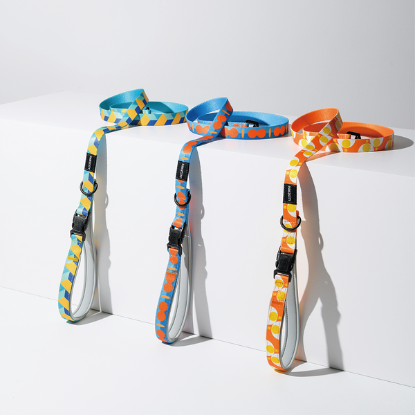 PAWZCITY Harness & Leash Set For Dog M