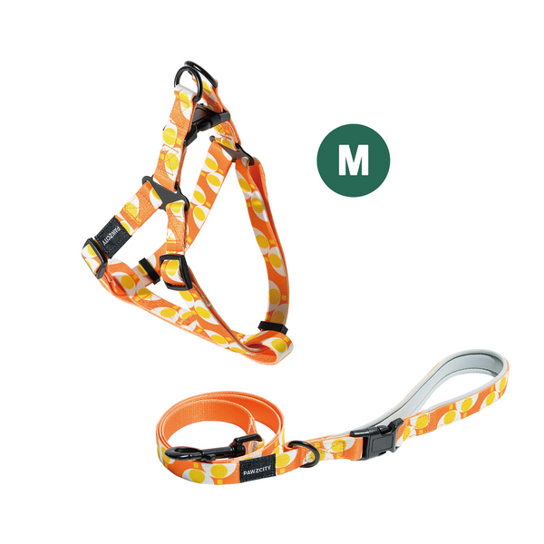 PAWZCITY Harness & Leash Set For Dog M