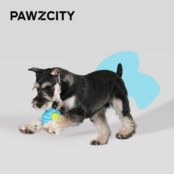 PAWZCITY Interactive Rope Ball
