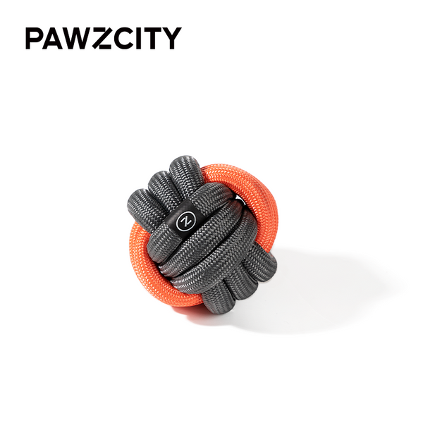 PAWZCITY Interactive Rope Ball
