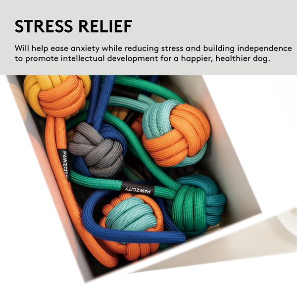 PAWZCITY Interactive Rope Ball With Loop