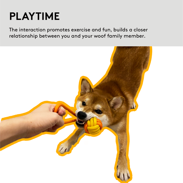 PAWZCITY Interactive Rope Ball With Loop