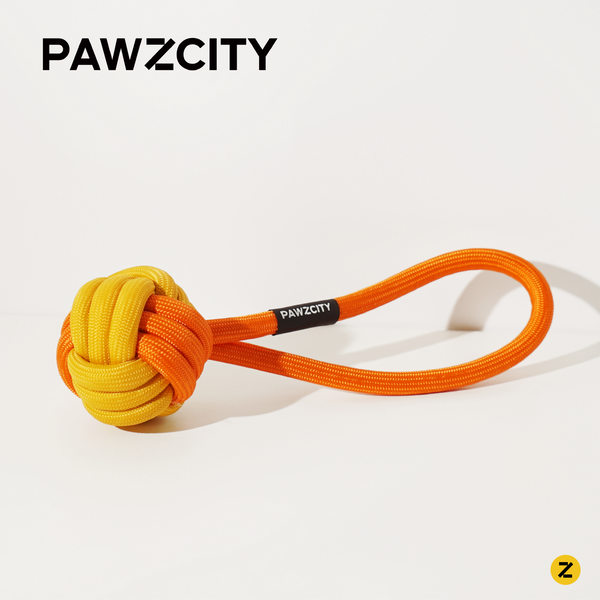 PAWZCITY Interactive Rope Ball With Loop