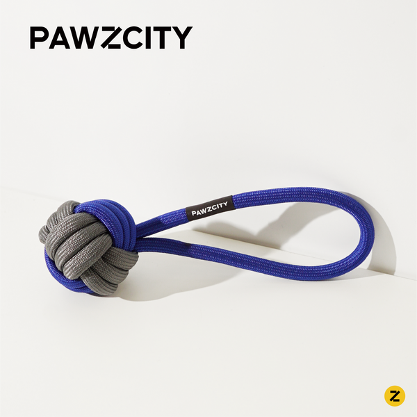 PAWZCITY Interactive Rope Ball With Loop