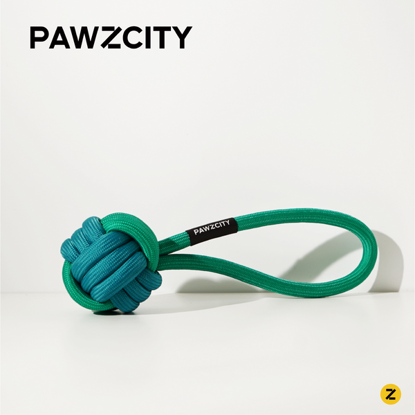 PAWZCITY Interactive Rope Ball With Loop