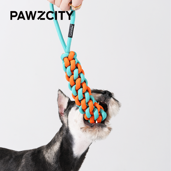 PAWZCITY Interactive Rope Stick With Loop