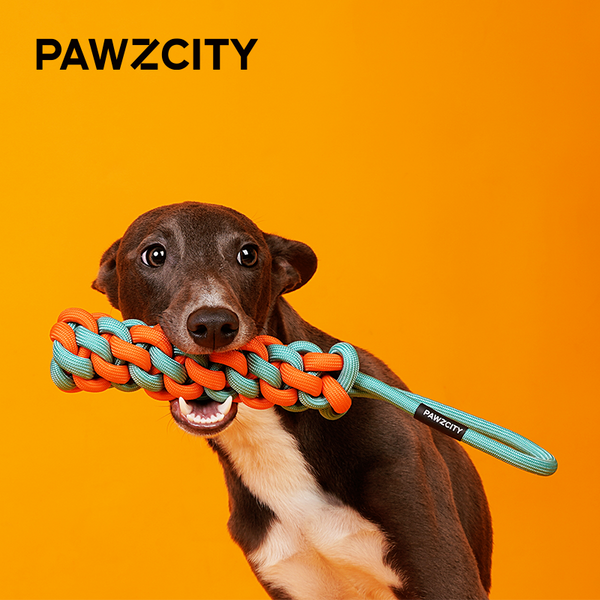 PAWZCITY Interactive Rope Stick With Loop