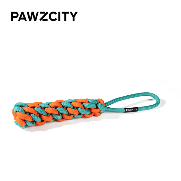 PAWZCITY Interactive Rope Stick With Loop