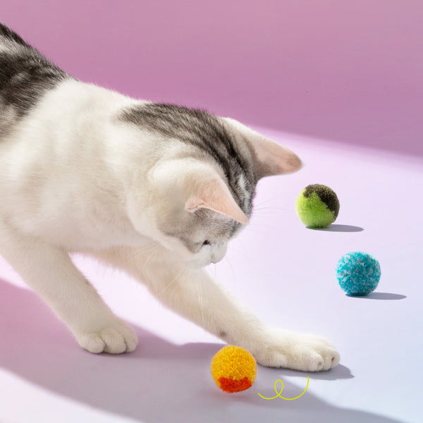 Mewoofun Catapult Teaser Wand Stick for Cat