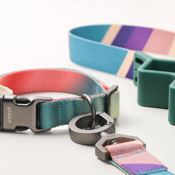 PIDAN COLLAR – DOG – A2