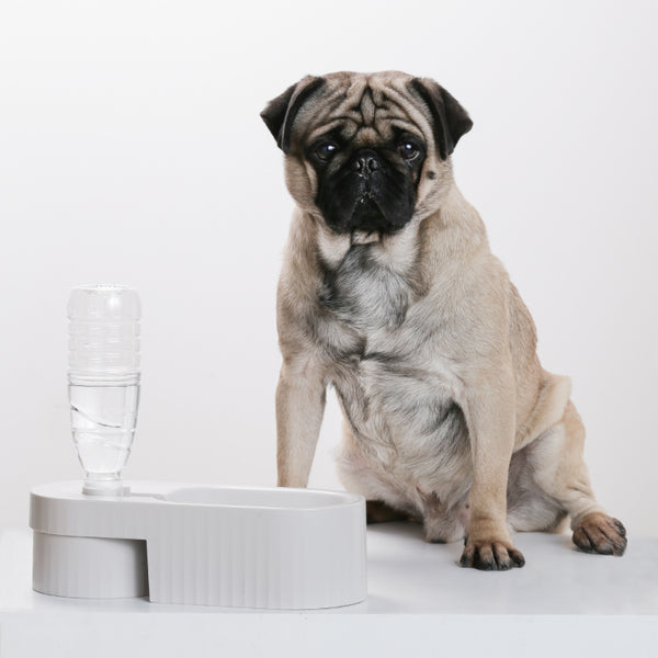 PIDAN DUAL BOWL FOR DOGS – GREY