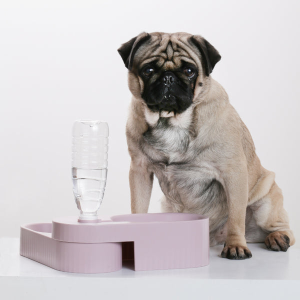 PIDAN DUAL BOWL FOR DOGS – PURPLE