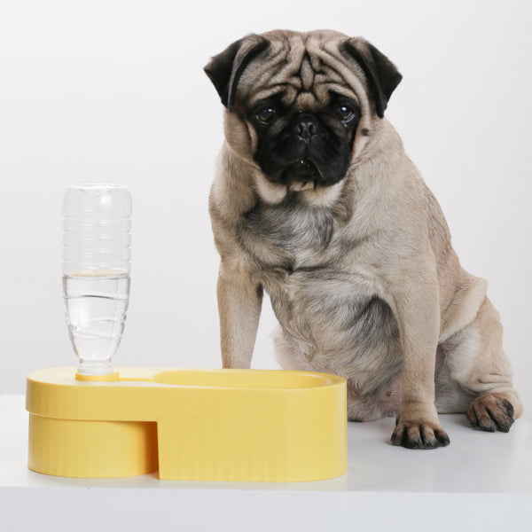 PIDAN DUAL BOWL FOR DOGS – YELLOW