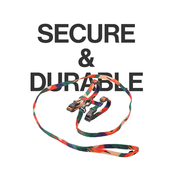 Pidan Harness & Leash Set–A2