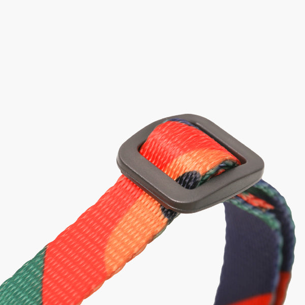 Pidan Harness & Leash Set–A2