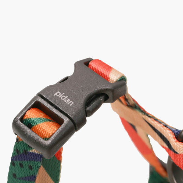 Pidan Harness & Leash Set–A2