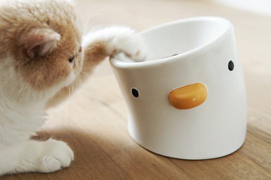 PURROOM Elevated Chick Ceramic Pet Bowl (Tilted)