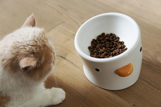 PURROOM Elevated Chick Ceramic Pet Bowl (Tilted)