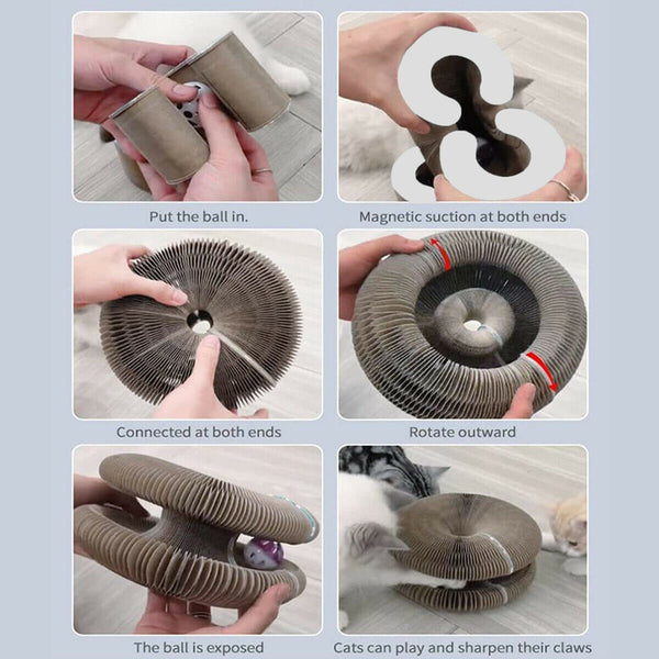 Magic Organ Cat Scratching Board