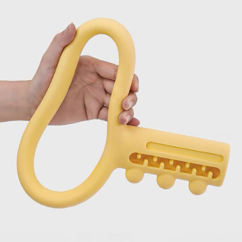 PETSHY Dog Interactive Bite Toy Key Style
