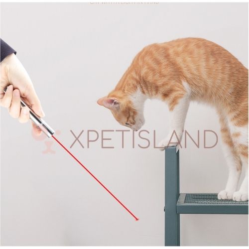 Cat Play Laser Pointer
