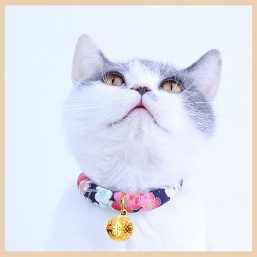 Japanese Inspired Pet Cat Collar