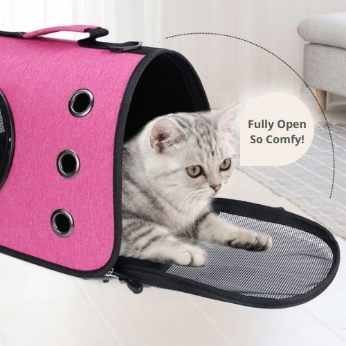 Pet Carrier Foldable Travel Space Capsule